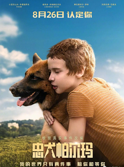 1661499462369896.png image.png